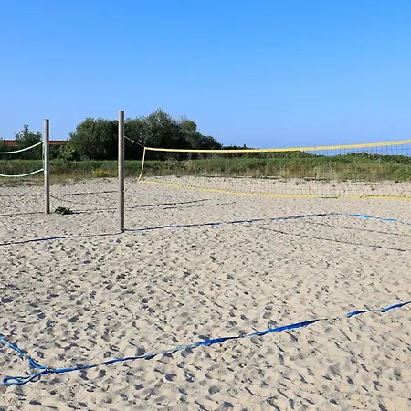 6 Person On A In Sæby